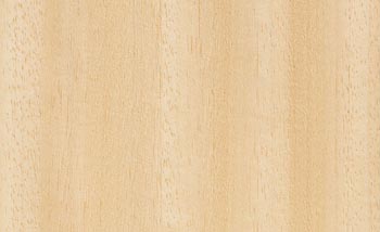 abachi ağacından sauna imalatı , ayaous ağacı sauna , sauna imalatı izmir