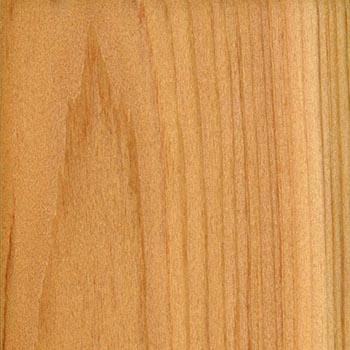 sedir ağacından sauna imalatı , aromatik kokulu sauna , izmirde sedir ağacından sauna , manisa sauna imalatı , akhisar sauna , turgutlu sauna , salihli sauna , çeşme sauna imalatı , urla sauna imalatı